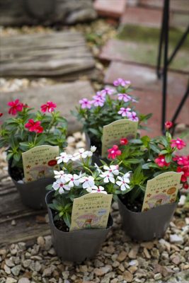 写真 2026-04-27 16 38 56_R_1