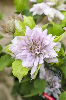 写真 2026-04-22 16 49 29_R_1