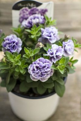 写真 2026-04-16 16 39 30_R_1