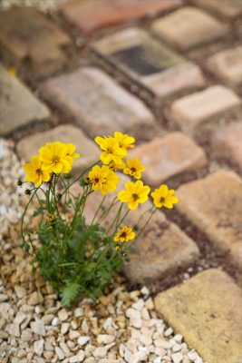 写真 2026-04-17 17 14 30_R_1