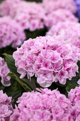 写真 2026-04-30 17 40 48_R_1