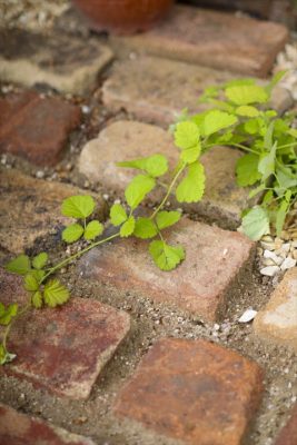 写真 2026-04-17 17 18 23_R_1