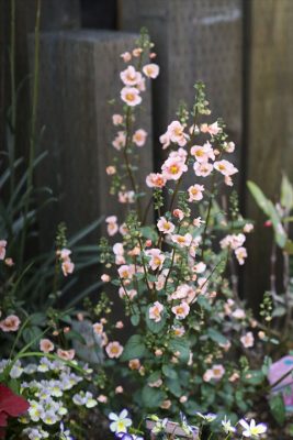 写真 2026-04-12 16 29 49_R_1