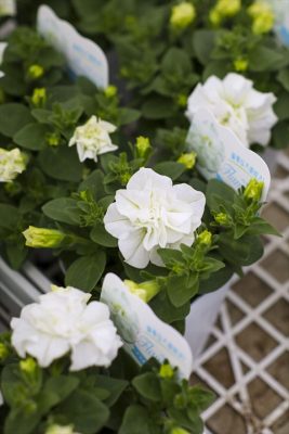 写真 2026-04-10 16 53 11_R_1