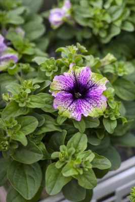 写真 2026-04-15 17 02 50_R_1