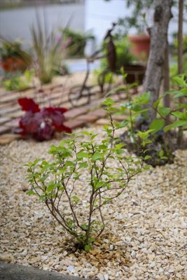 写真 2026-04-17 17 16 29_R_1