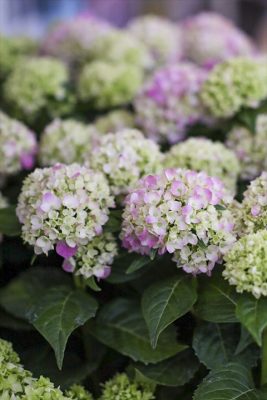 写真 2026-04-30 17 36 03_R_1