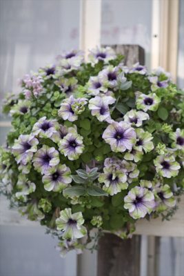 写真 2026-04-25 18 02 18_R_1