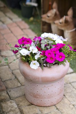 写真 2026-04-04 16 36 06_R_1