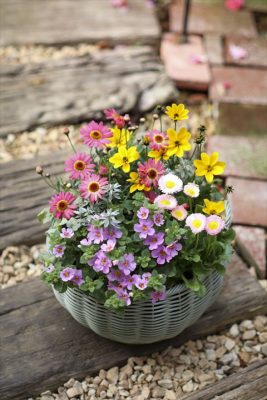 写真 2026-04-02 8 53 04_R_1