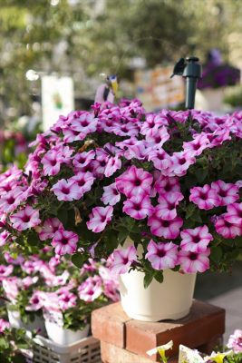 写真 2026-04-21 17 02 27_R_1