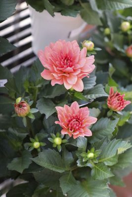 写真 2026-04-05 16 08 54_R_1