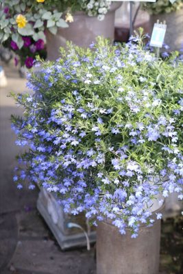 写真 2026-04-05 16 10 30_R_1