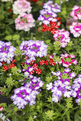 写真 2026-04-30 17 32 43_R_1