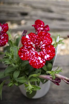 写真 2026-04-14 16 30 00_R_1