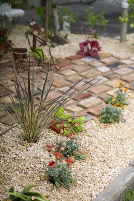 写真 2026-04-17 17 15 16_R_1