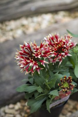 写真 2026-04-23 16 55 11_R_1