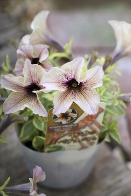 写真 2026-04-02 16 28 20_R_1