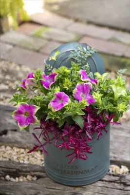 写真 2026-04-16 16 48 49_R_1