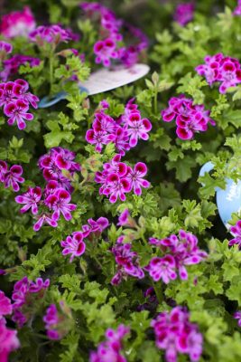 写真 2026-04-09 16 39 10_R_1