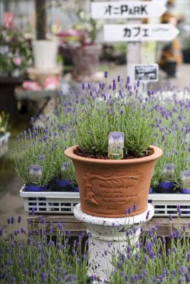 写真 2026-04-09 16 53 49_R_1