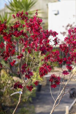 写真 2026-04-21 17 19 19_R_1