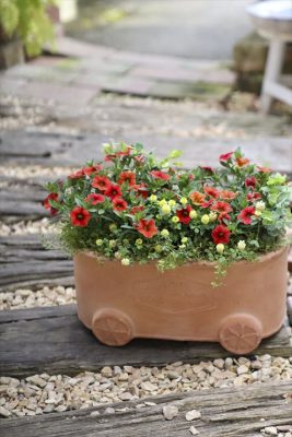 写真 2026-04-24 16 52 18_R_1