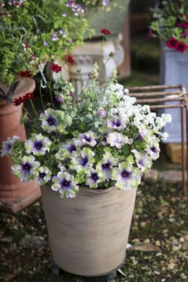 写真 2026-04-24 17 04 15_R_1