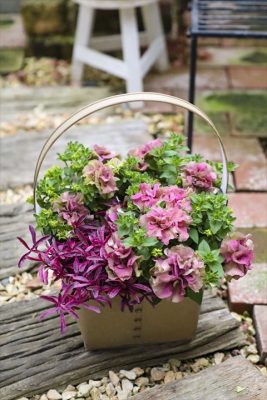 写真 2026-04-14 16 23 22_R_1