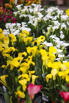 写真 2026-04-26 15 57 10_R_1