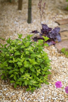 写真 2026-04-17 17 17 53_R_1