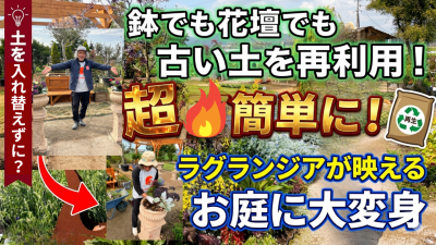 入れ替えずに？