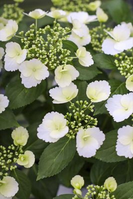 写真 2026-04-26 16 13 24_R_1