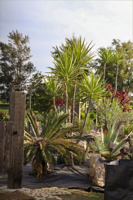 写真 2026-04-21 17 22 25_R_1