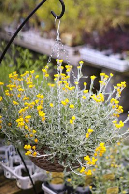 写真 2026-04-04 16 38 30_R_1