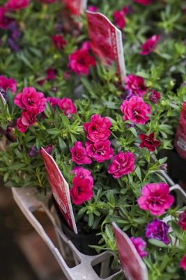 写真 2026-04-10 16 55 56_R_1