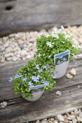 写真 2026-04-02 16 33 10_R_1