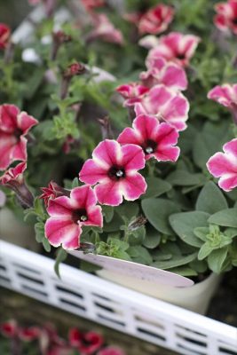 写真 2026-04-23 16 49 56_R_1