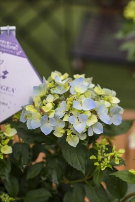 写真 2026-04-26 16 11 00_R_1