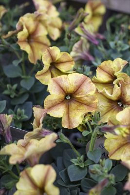 写真 2026-04-09 16 47 04_R_1