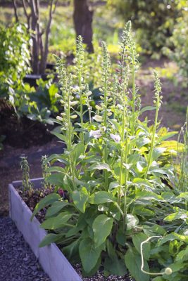 写真 2026-04-21 17 18 42_R_1