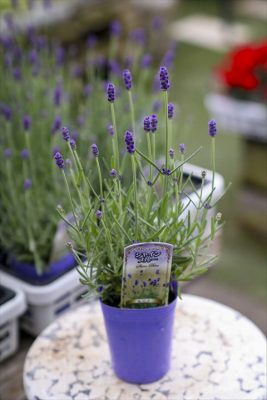 写真 2026-04-09 16 41 34_R_1