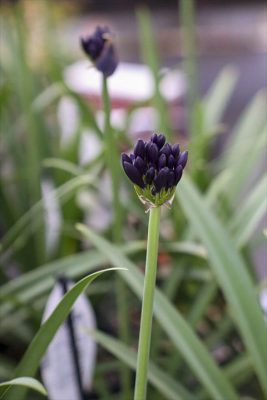 写真 2026-04-09 16 39 57_R_1