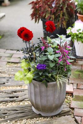 写真 2026-04-18 17 08 38_R_1