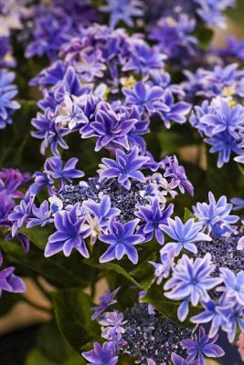 写真 2026-04-30 17 41 19_R_1