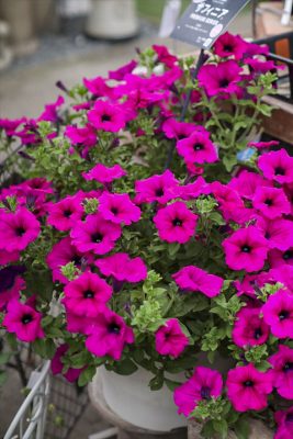 写真 2026-04-13 16 36 39_R_1