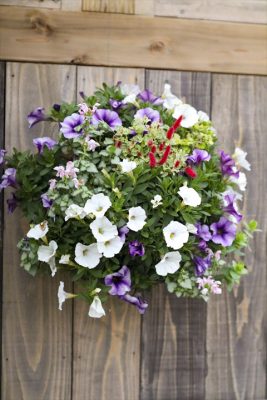 写真 2026-04-18 17 13 38_R_1