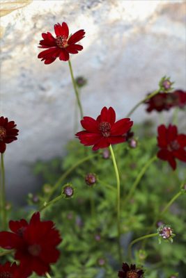 写真 2026-04-02 16 23 47_R_1