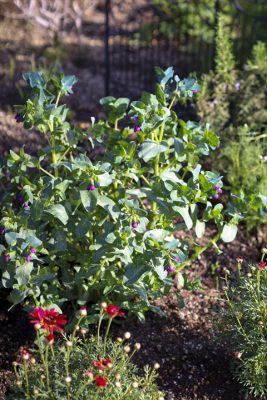 写真 2026-04-16 16 36 38_R_1