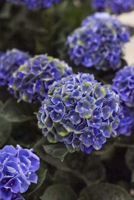 写真 2026-05-06 17 08 27_R_1